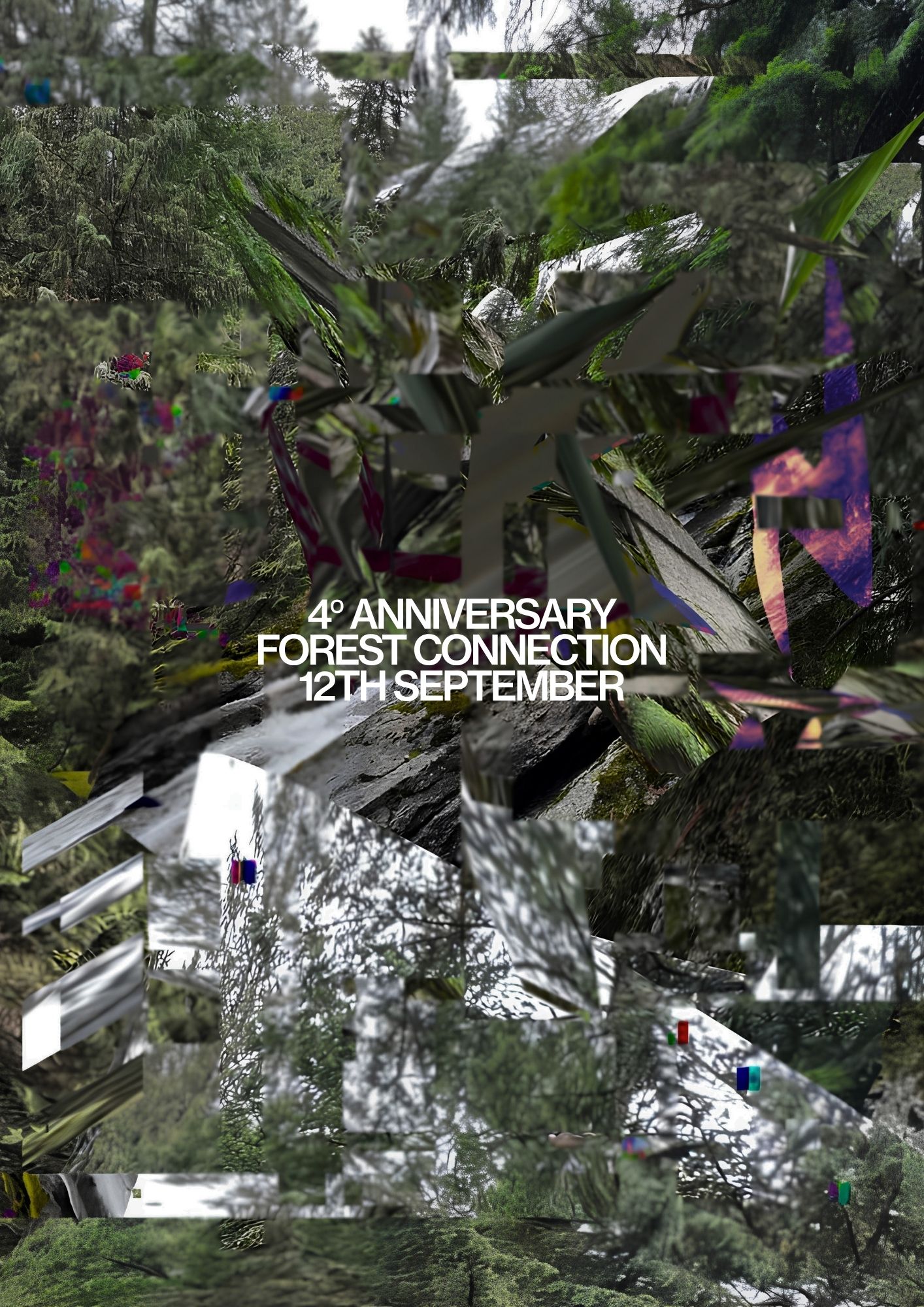 Forest Connection flyer