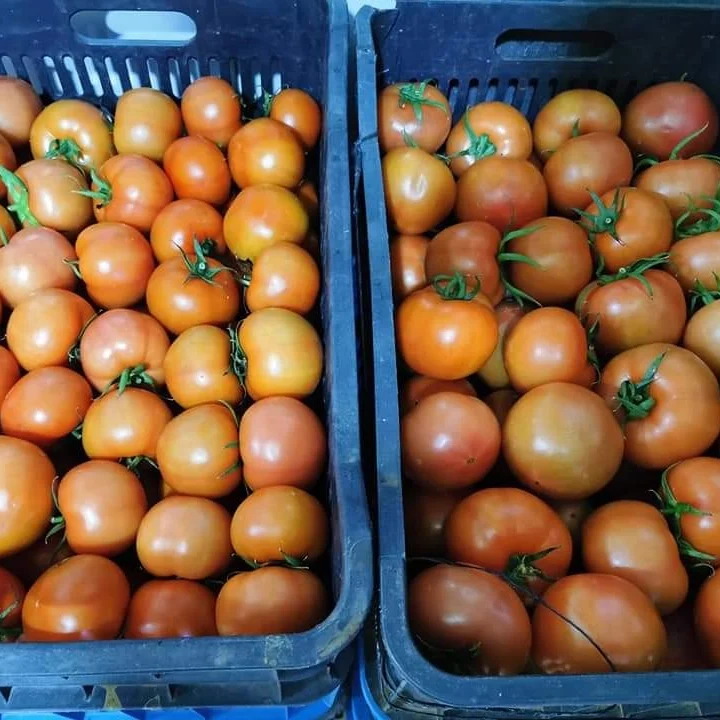 Crates of tomatoes stacked at the door of the furn