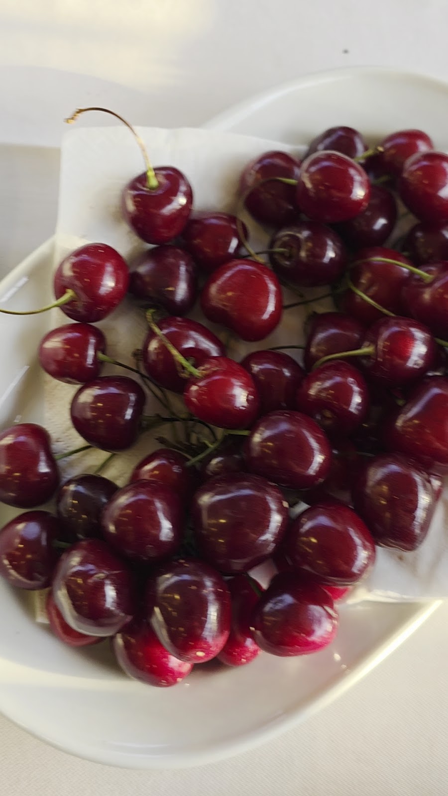 A plate of dark cherries on ice