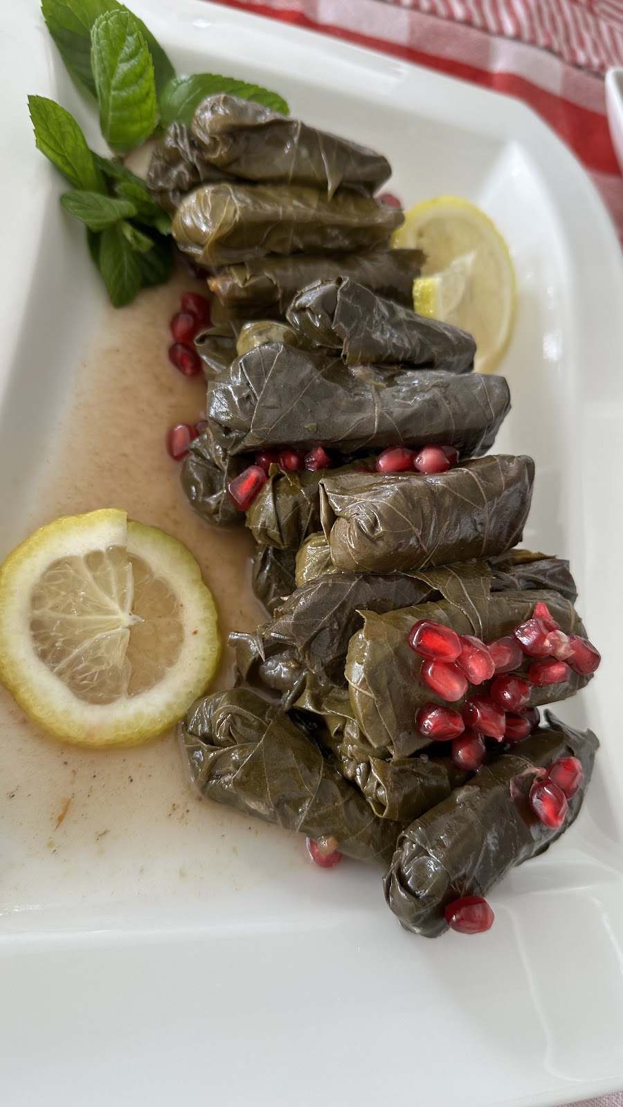 Stuffed grape leaves with lemon and pomegranate
