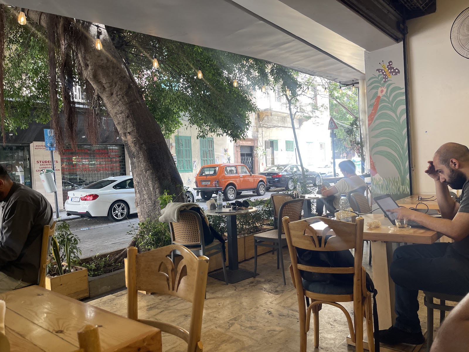 Taht El Shajra terrace