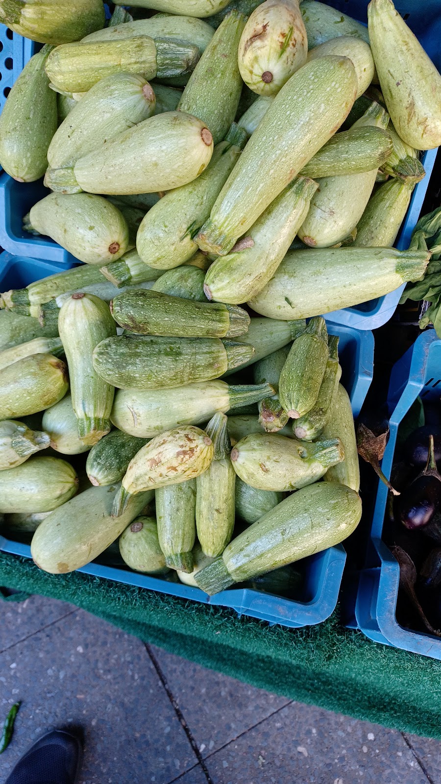 Frisches Gemüse in Kisten