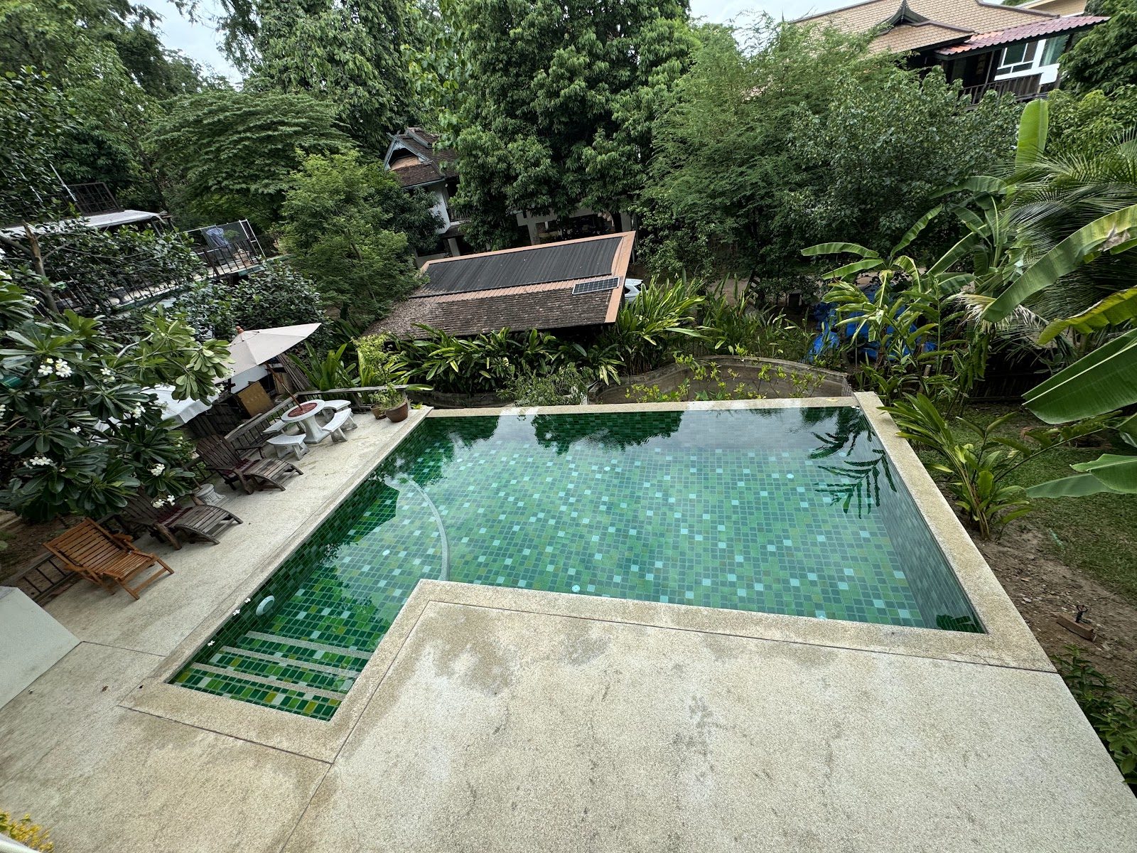 Swimming pool surrounded by greenery at Uma House