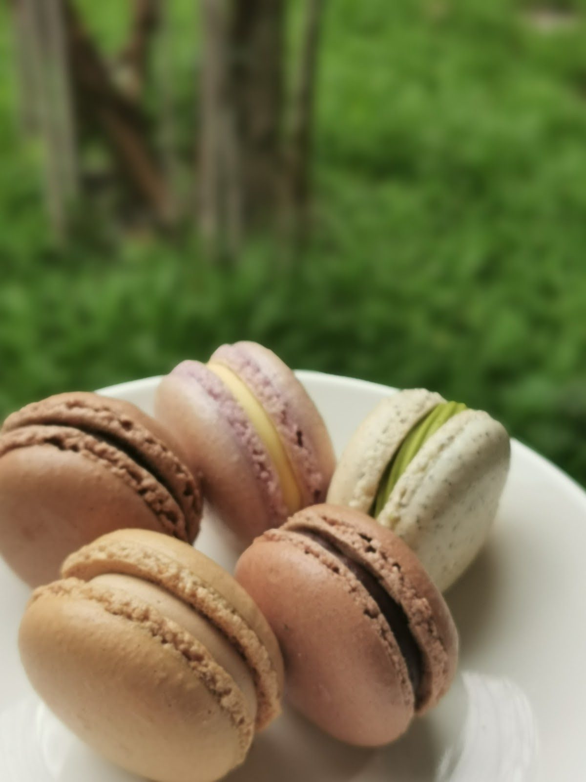 Homemade dessert at Windsor Garden House