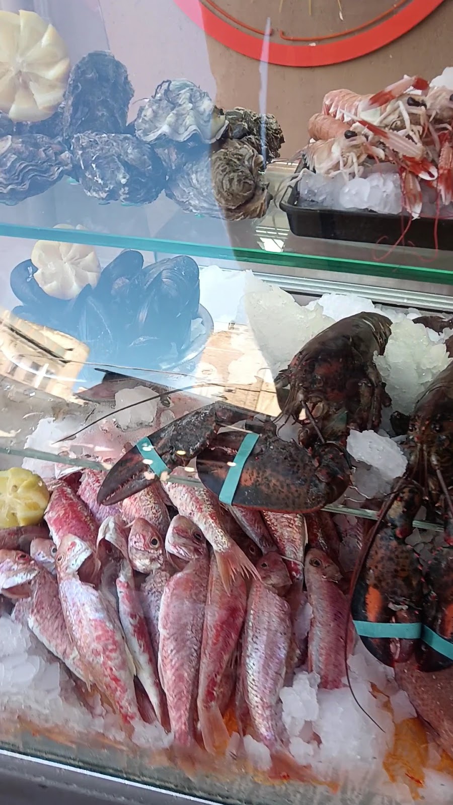 Il banco del pesce sul ghiaccio
