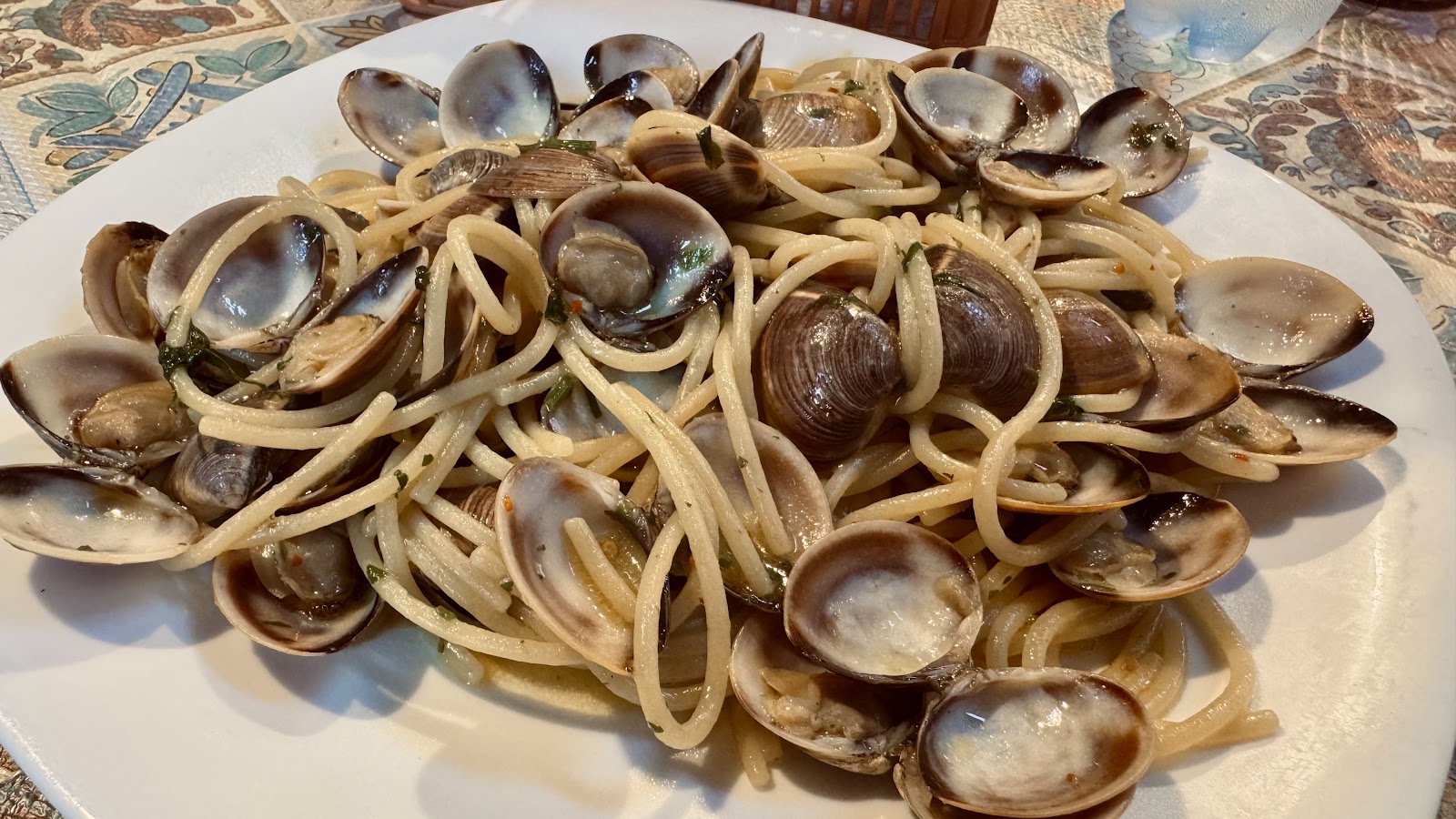 Vongole